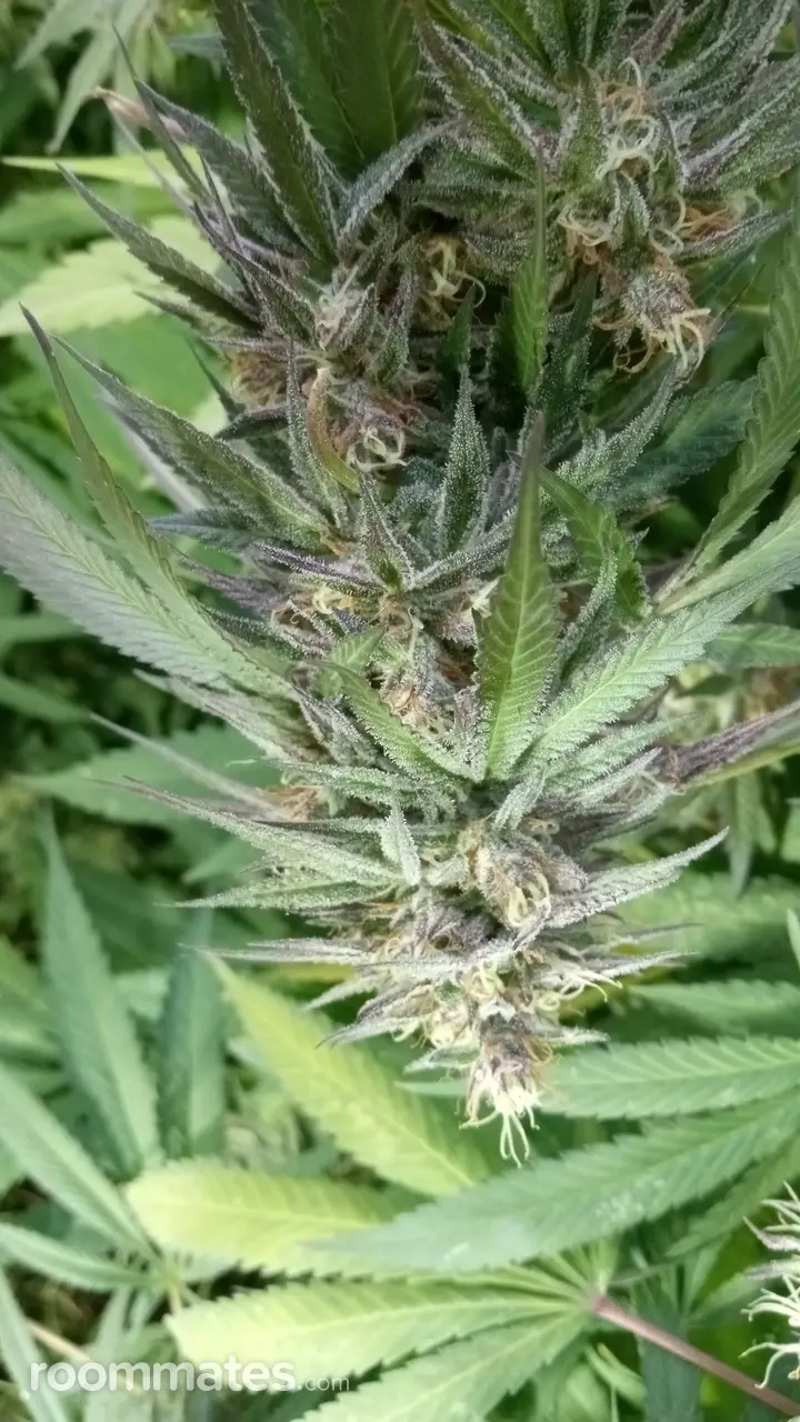 Profile photo 4 of 19