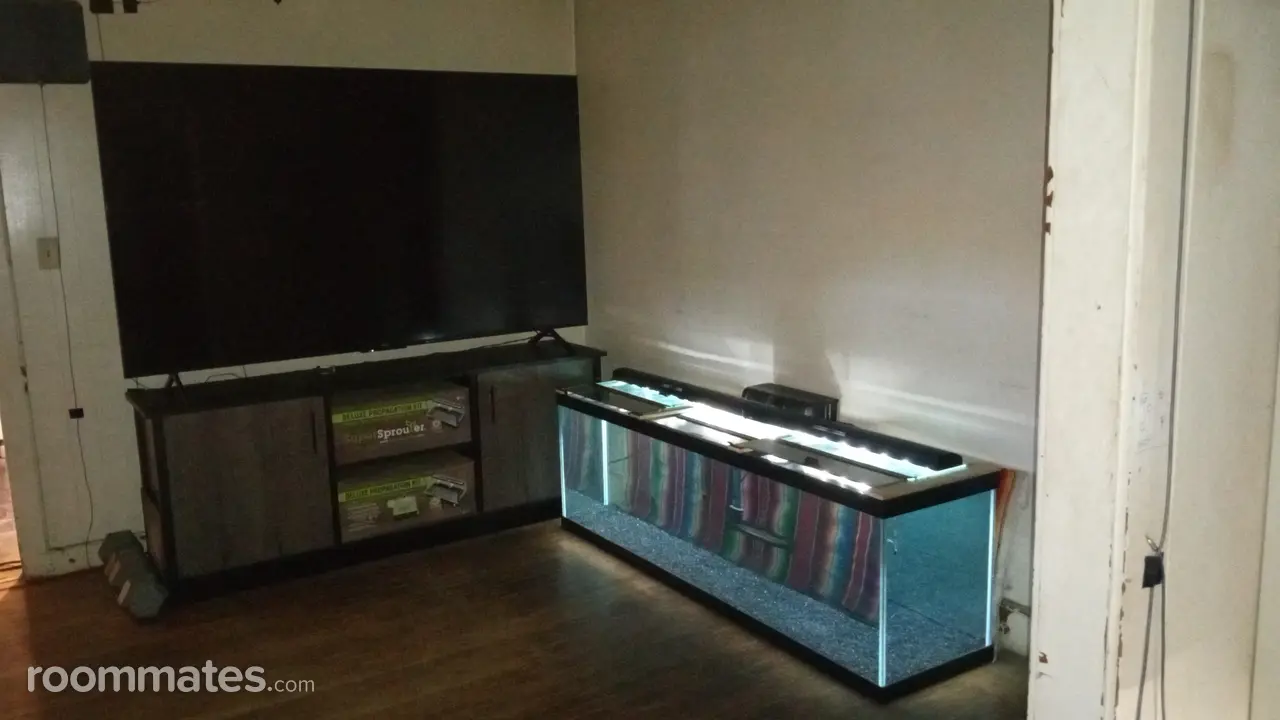 Profile photo 3 of 19