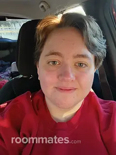 Roommate looking Pittsburgh, PA, $600