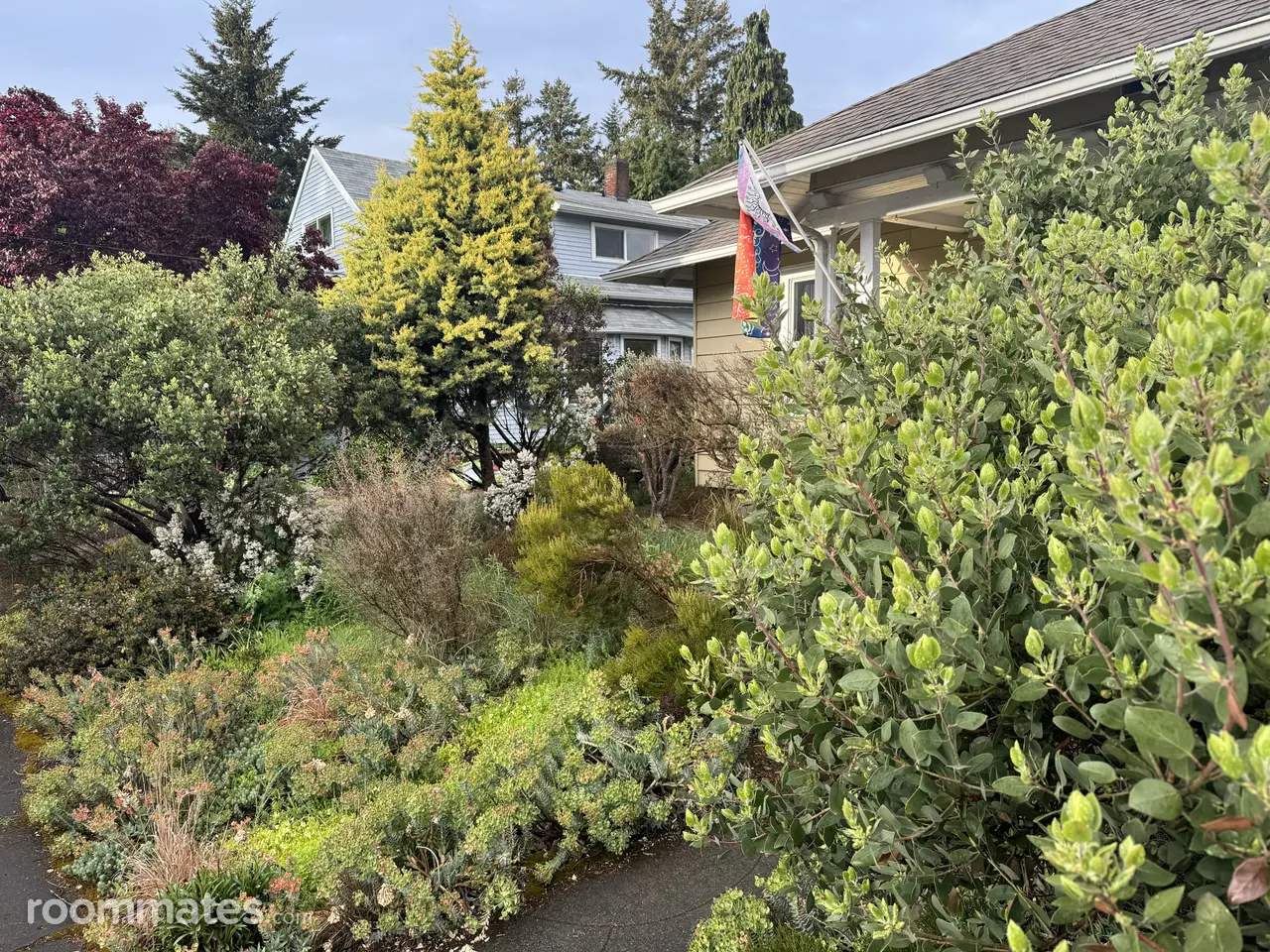 Profile photo 2 of 5