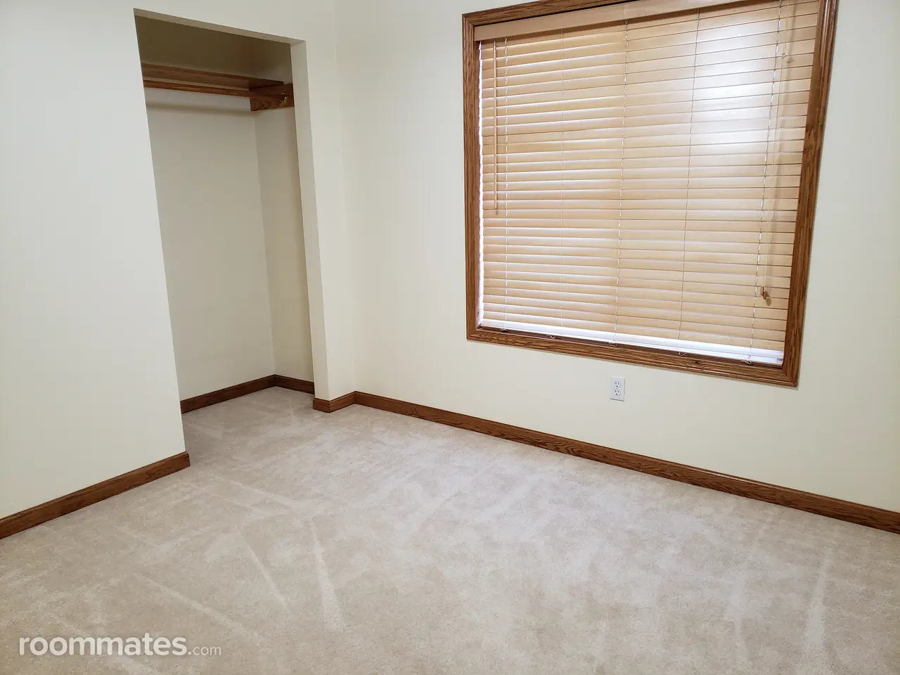 Profile photo 10 of 12