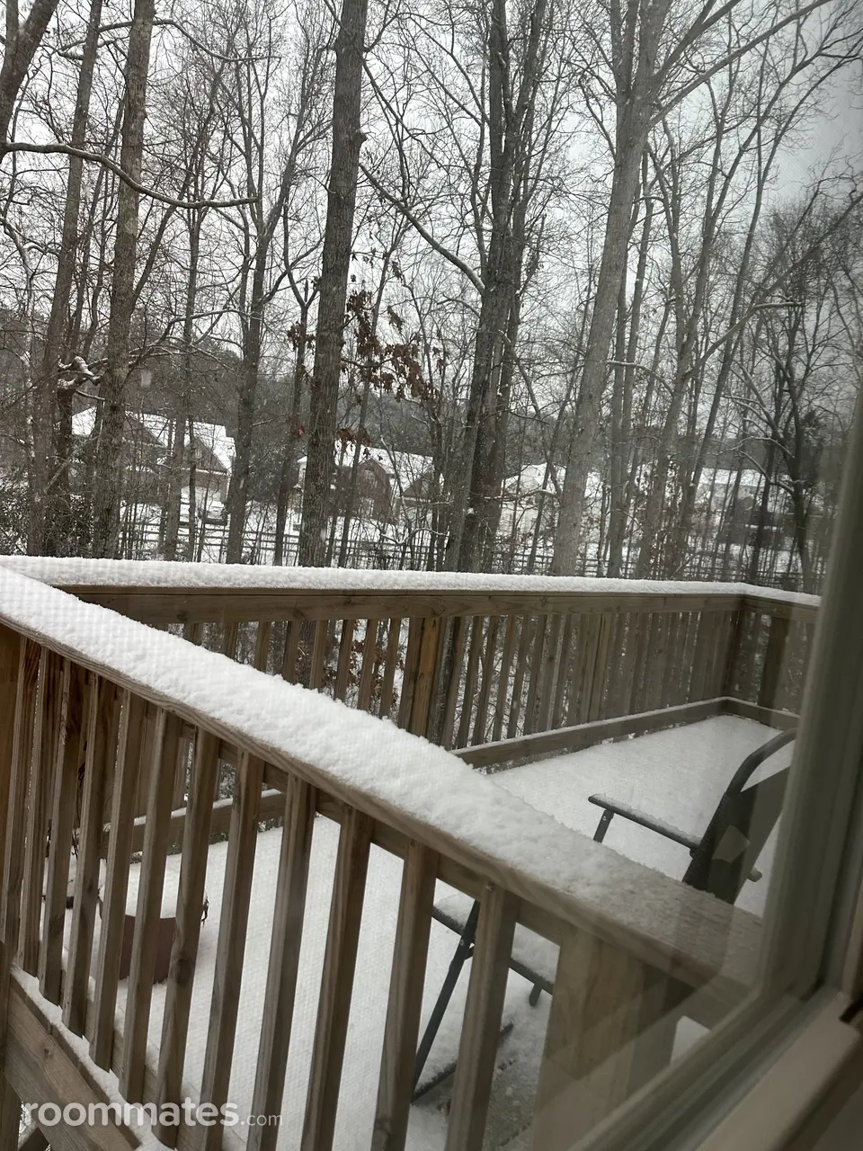 Profile photo 6 of 15