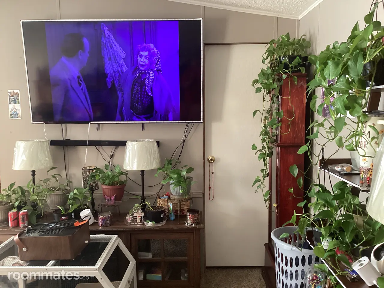 Profile photo 5 of 8