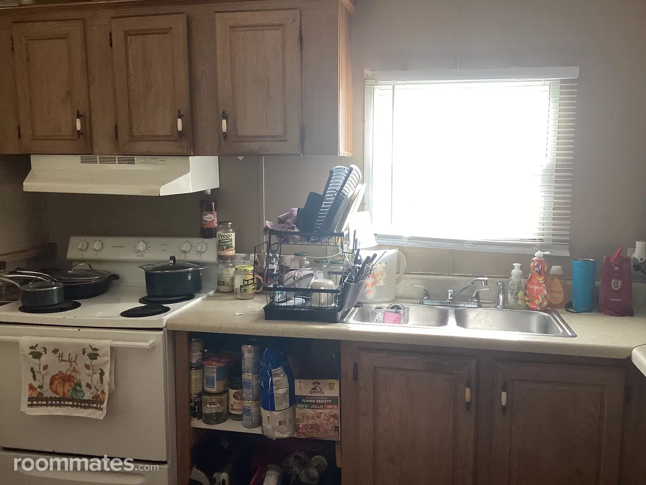 Profile photo 6 of 8