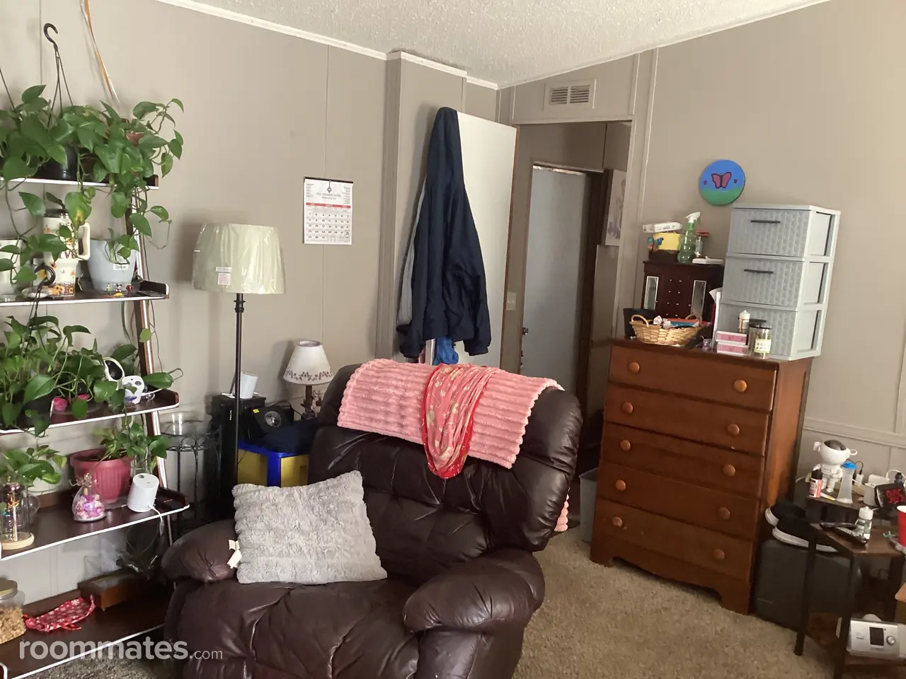 Profile photo 3 of 8