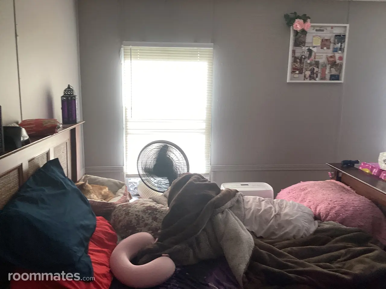 Profile photo 4 of 8