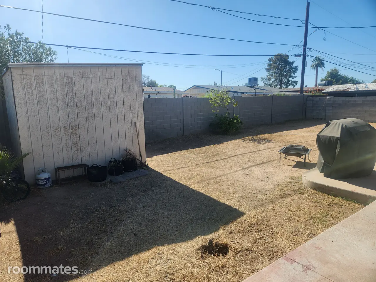 Profile photo 6 of 9