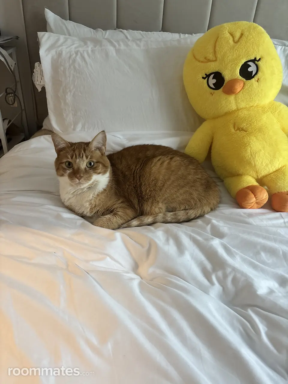 Profile photo 2 of 3