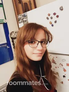 Roommate looking Carnegie, PA, $600