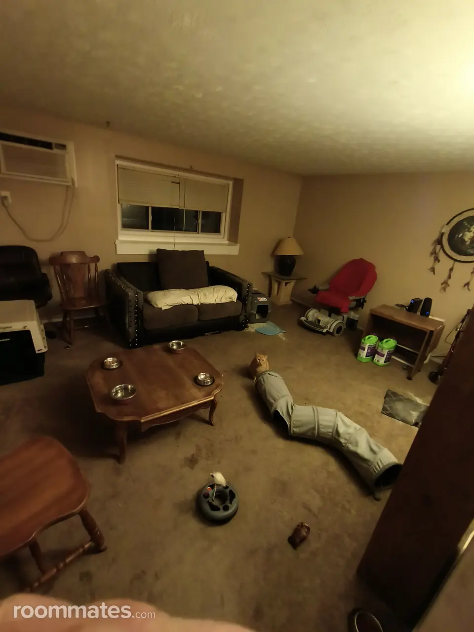 Profile photo 4 of 8