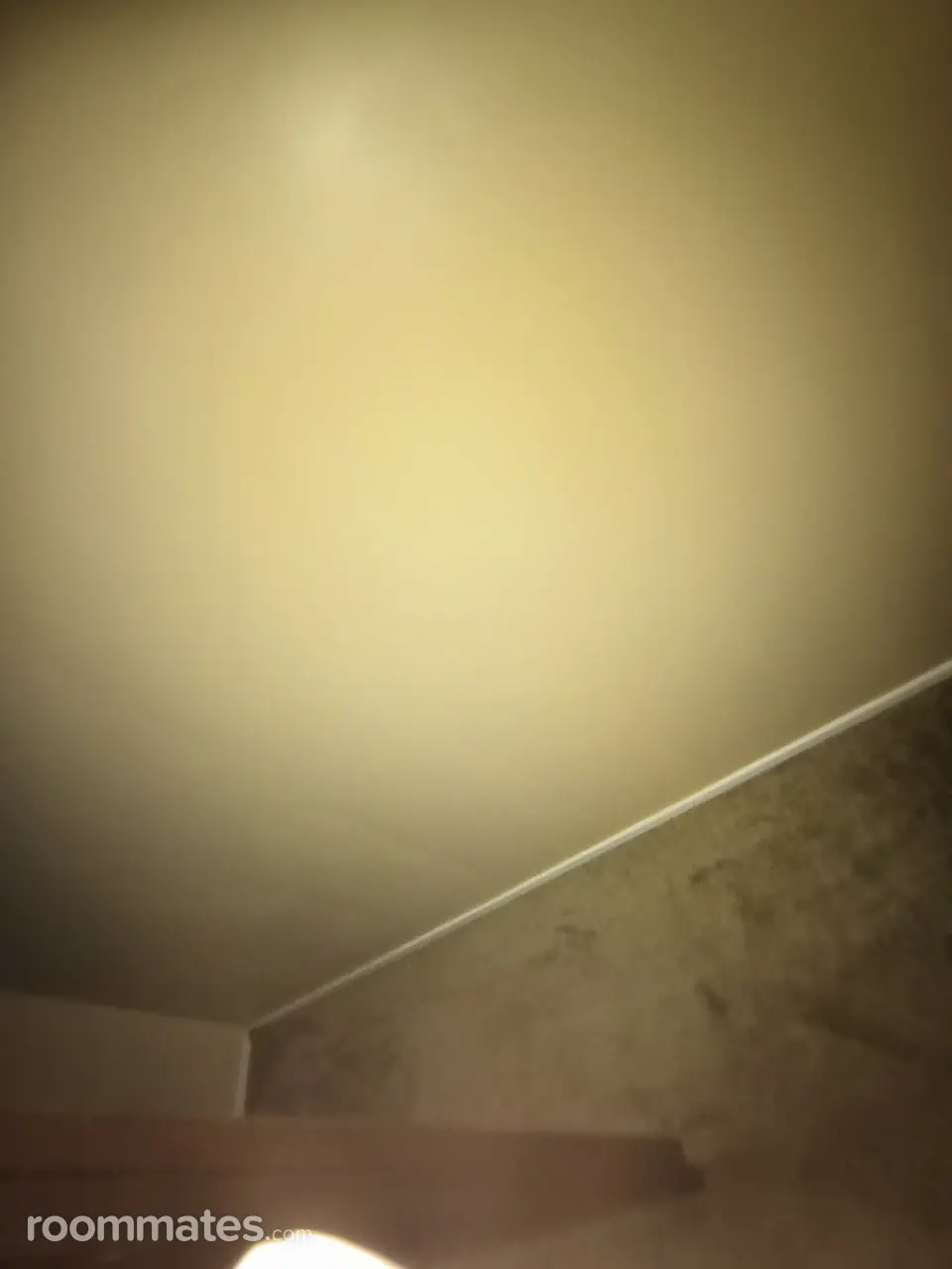 Profile photo 1 of 8