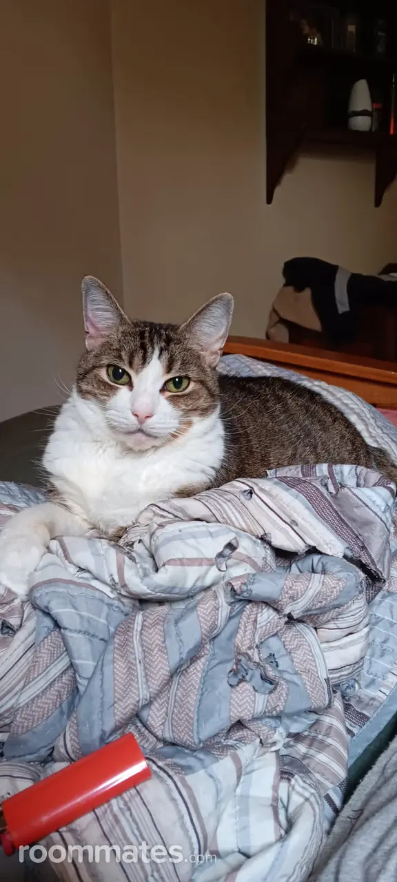 Profile photo 2 of 2