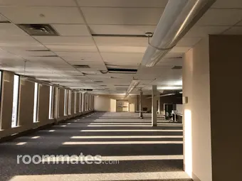 Roommate looking Huntsville, AL, $200