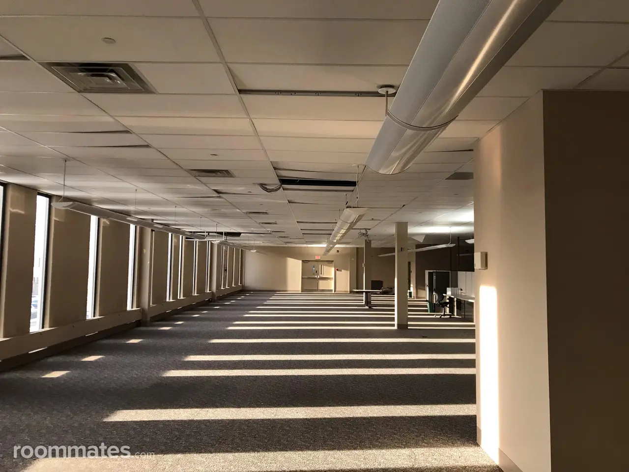 Profile photo 1 of 1