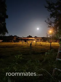 Room for rent in Polk City, FL $800, house