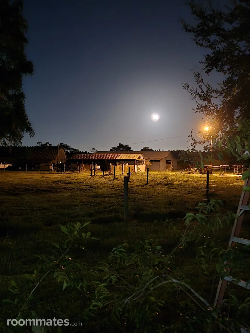 Profile photo 1 of 3