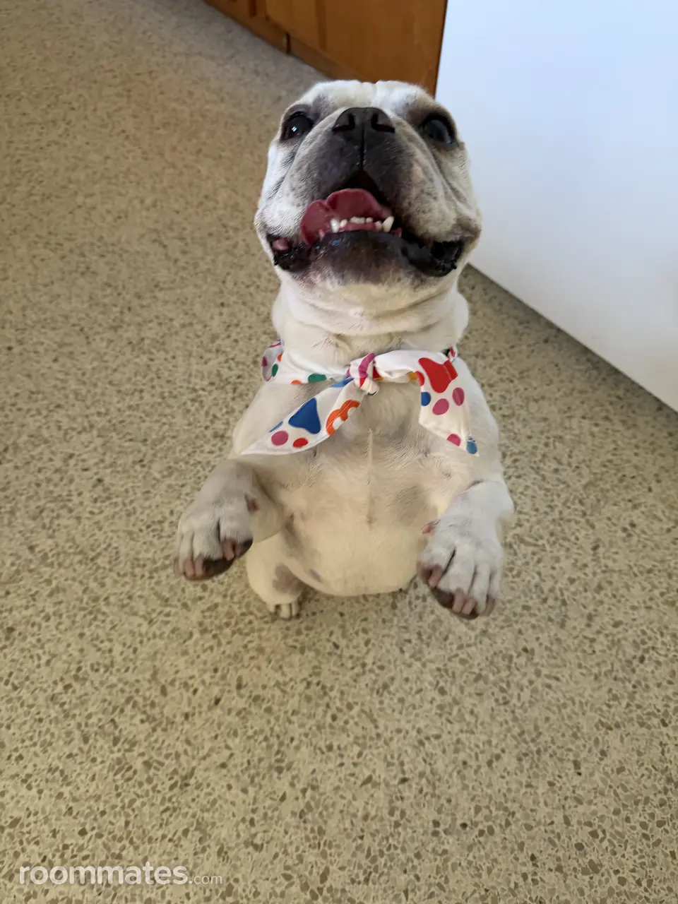 Profile photo 2 of 9