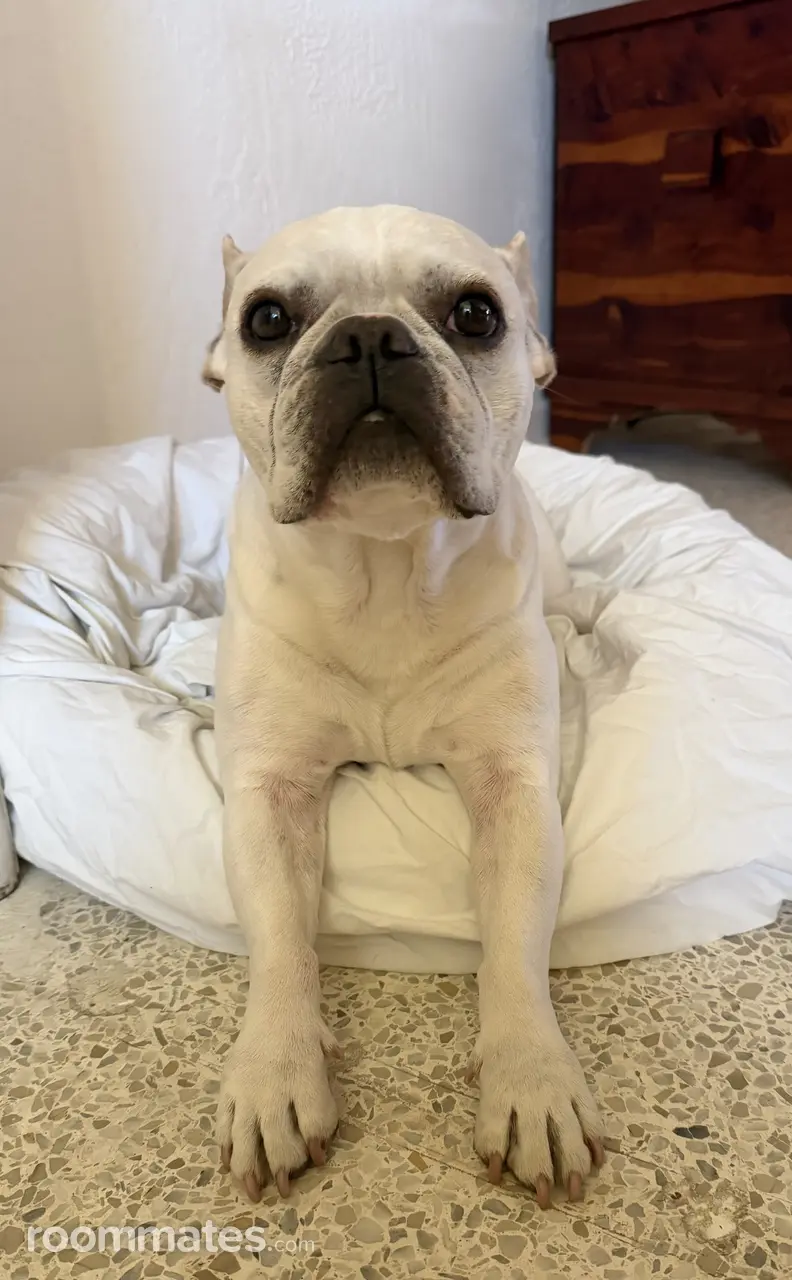 Profile photo 6 of 9