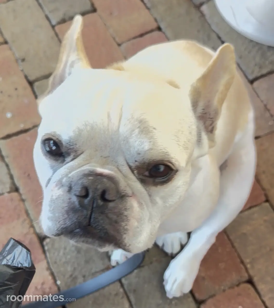 Profile photo 9 of 9