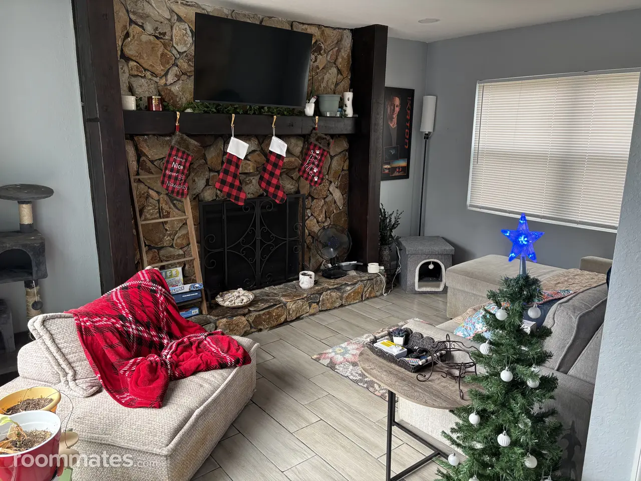 Profile photo 8 of 11