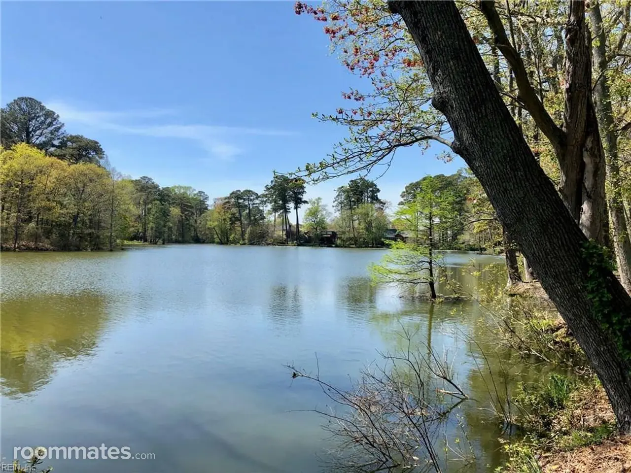 Profile photo 5 of 10