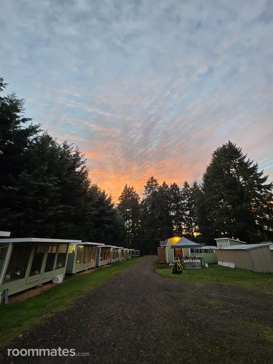 Profile photo 2 of 3