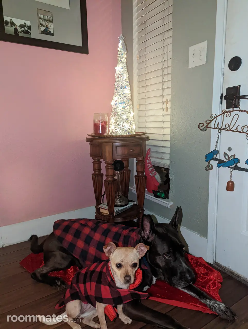 Profile photo 7 of 11