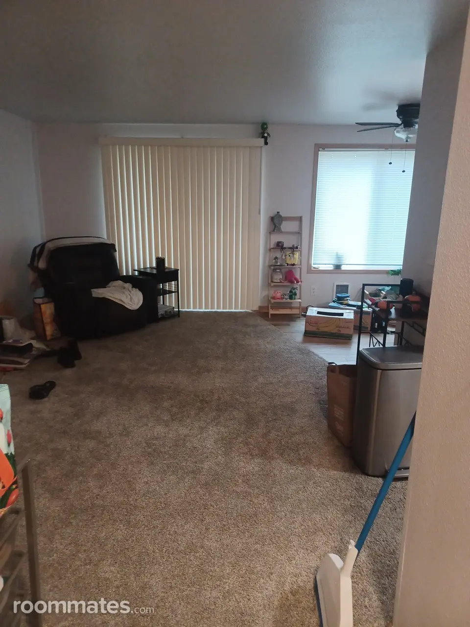 Profile photo 3 of 4