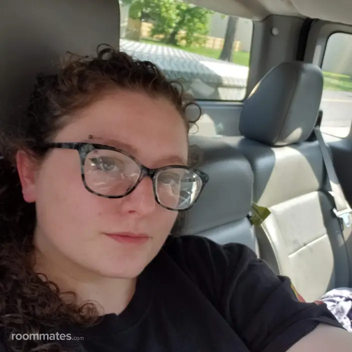 Roommate looking Montgomery, NY, $700