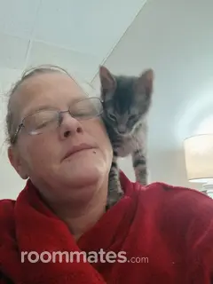 Roommate looking Scranton, PA, $500