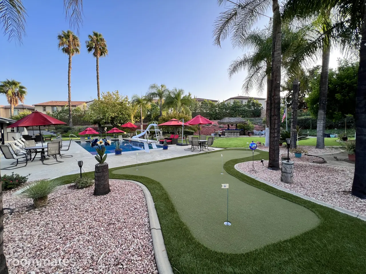 Profile photo 9 of 11