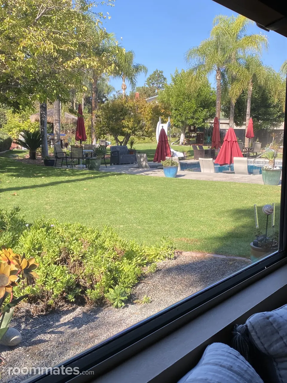 Profile photo 2 of 11