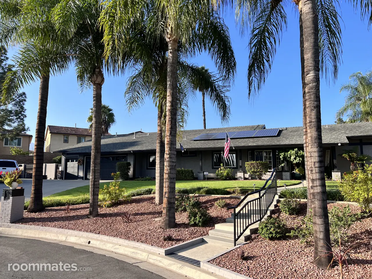 Profile photo 8 of 11