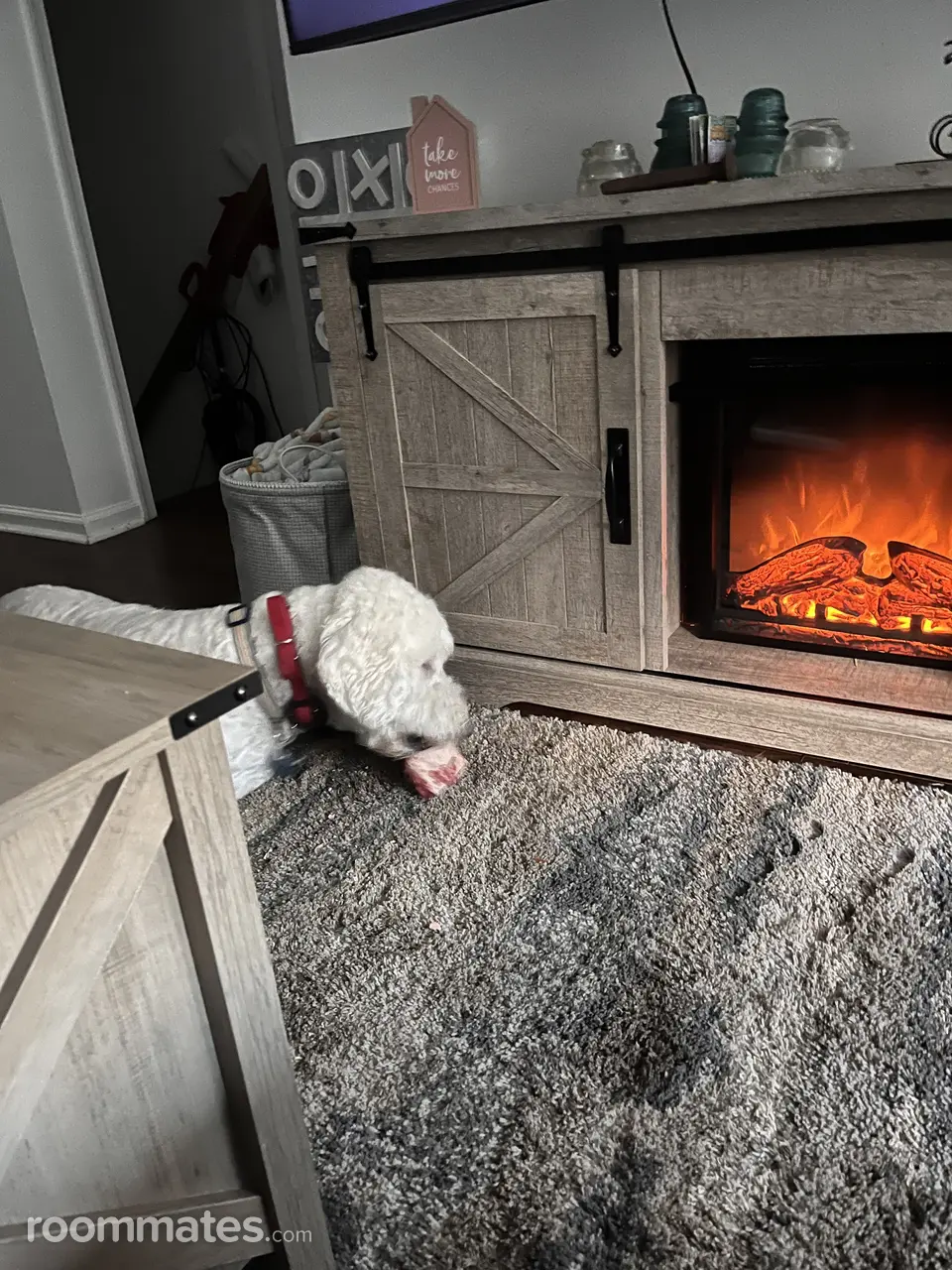 Profile photo 5 of 13