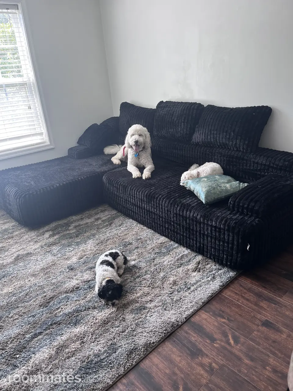 Profile photo 6 of 13