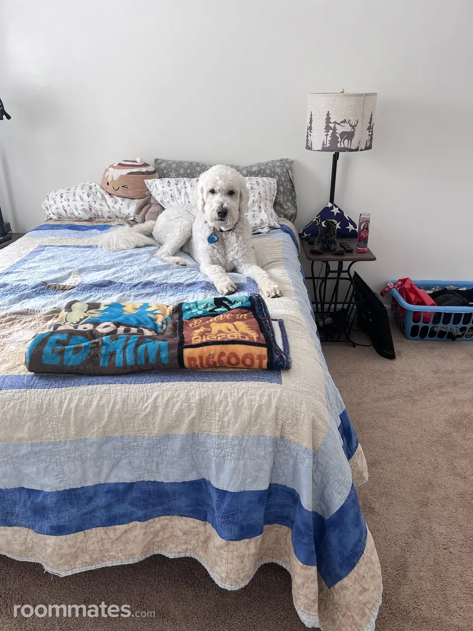 Profile photo 3 of 13