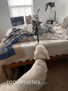 Room for rent in Greenwood, VA $650, house