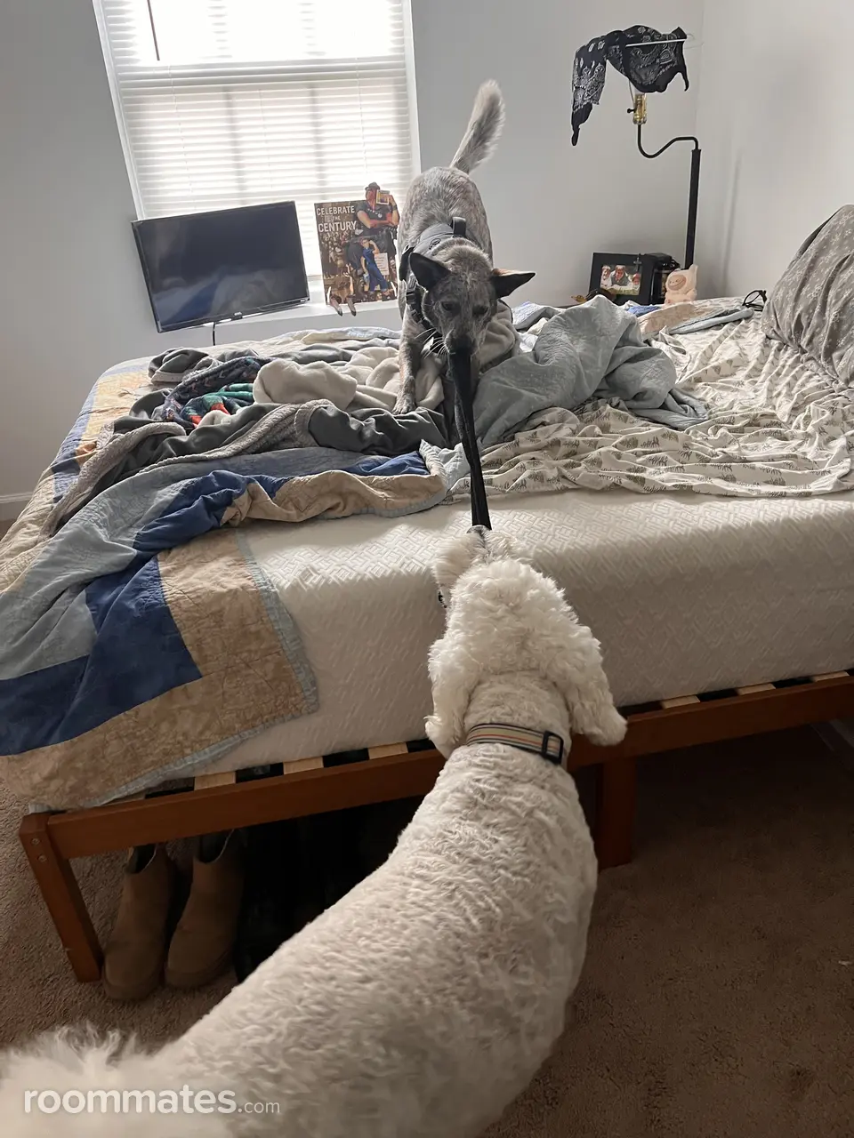 Profile photo 2 of 13