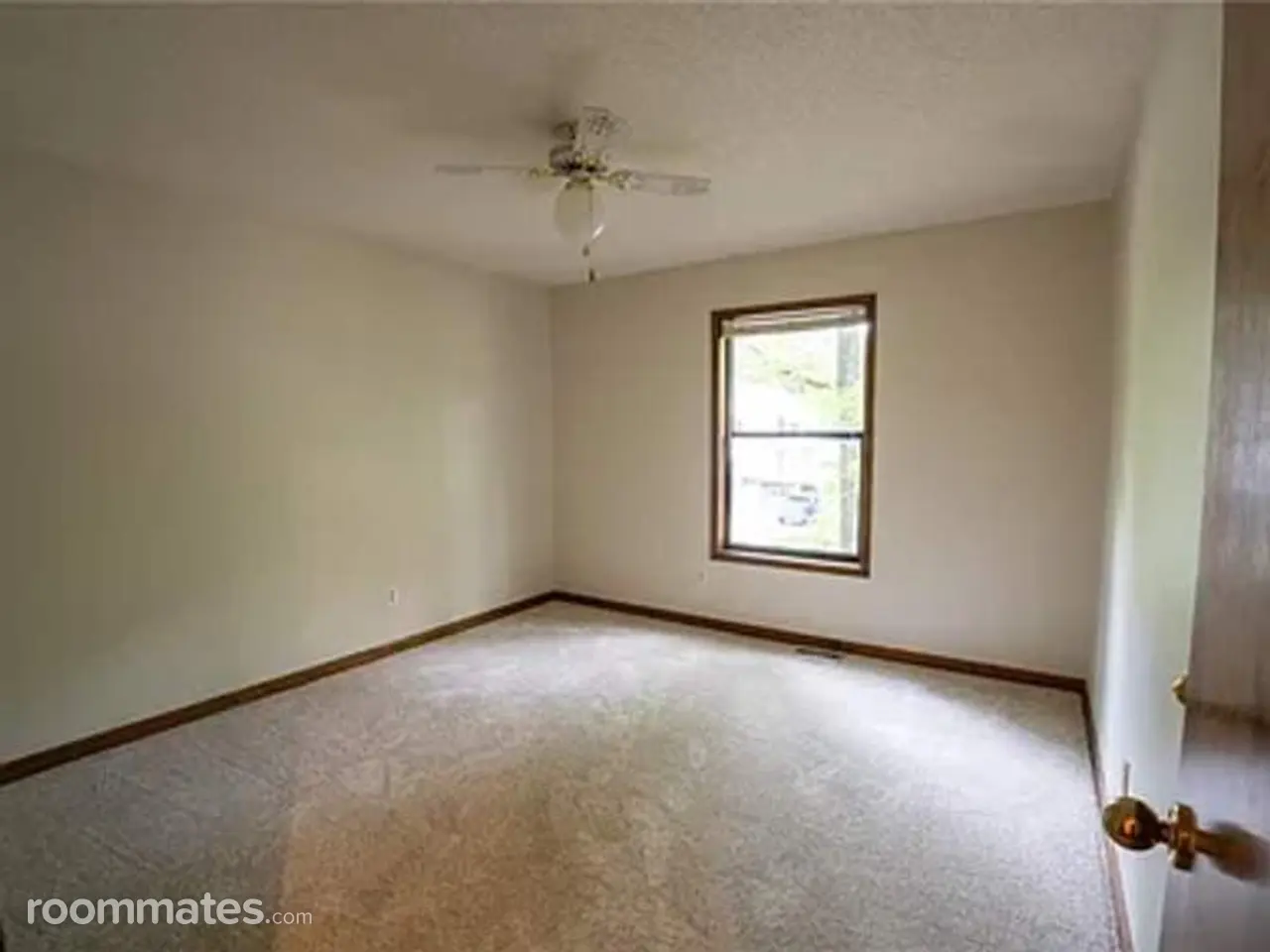 Profile photo 4 of 11