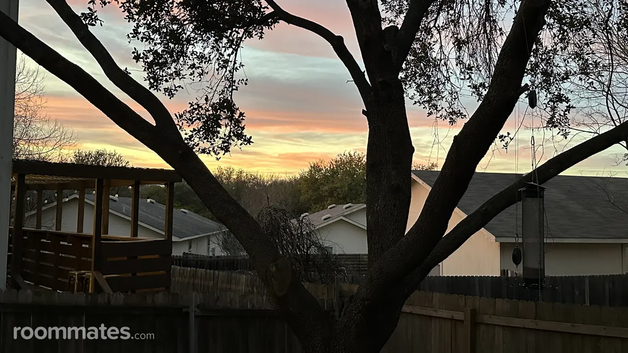 Profile photo 9 of 15