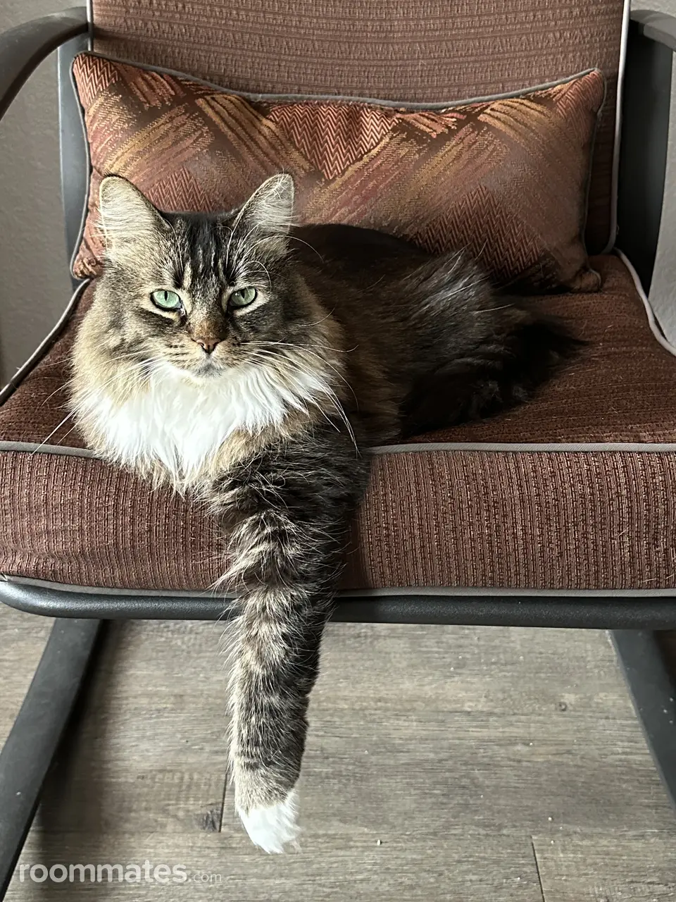 Profile photo 11 of 15