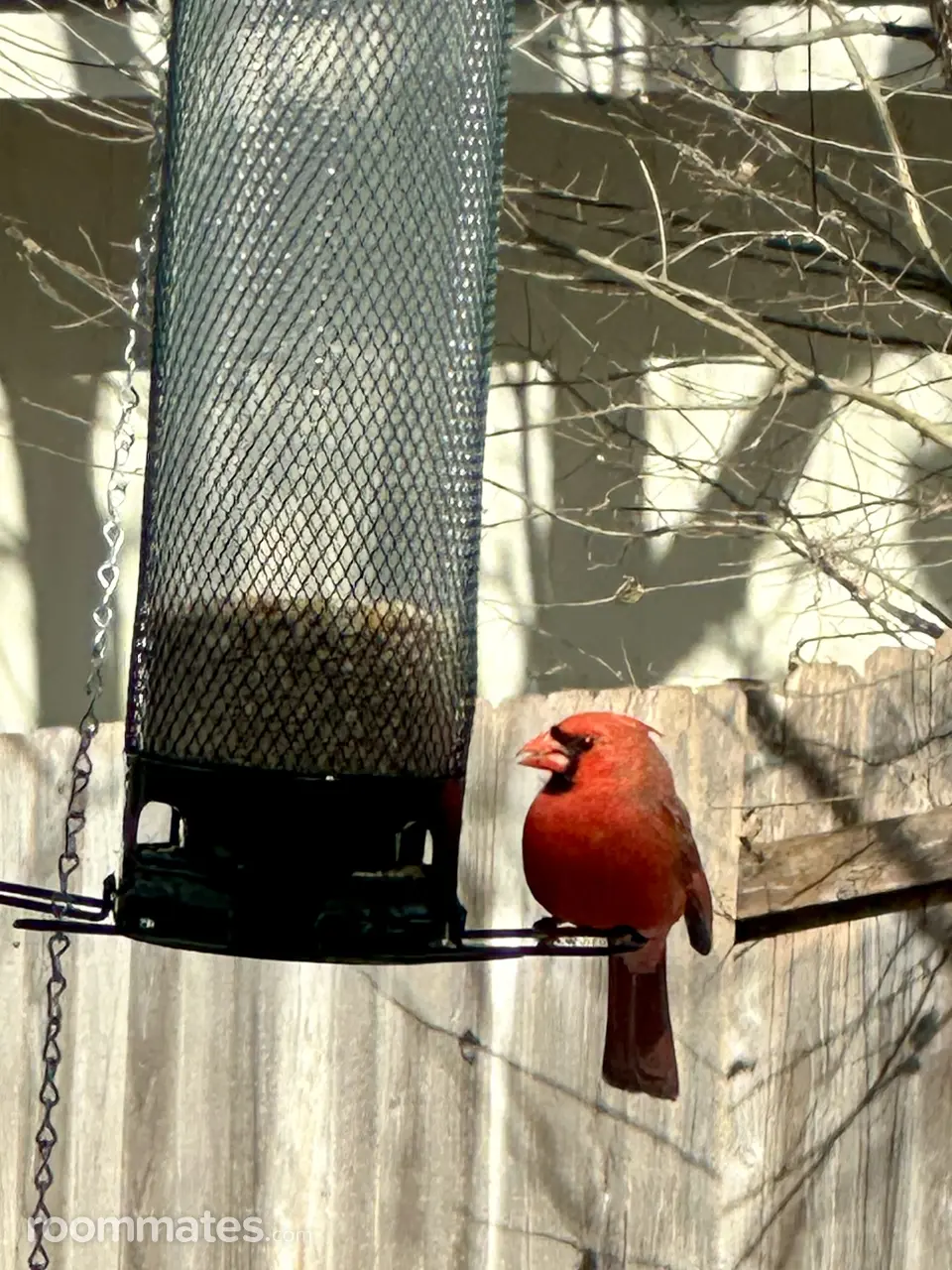 Profile photo 12 of 15