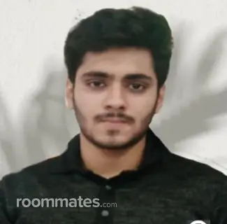 Roommate looking Santa Monica, CA, $1400