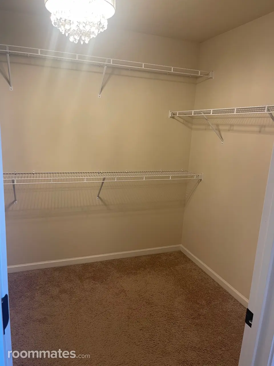 Profile photo 8 of 9