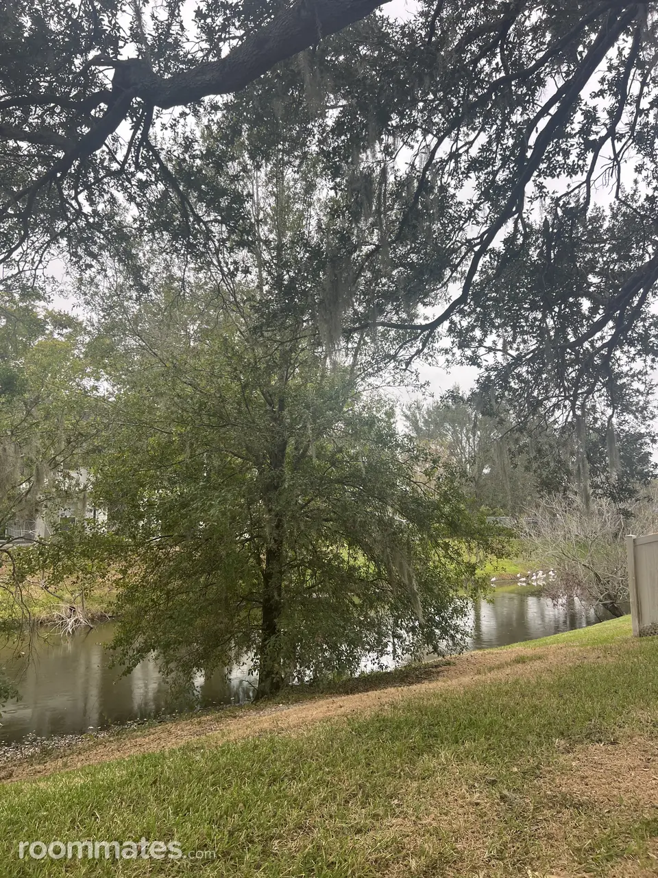 Profile photo 10 of 14