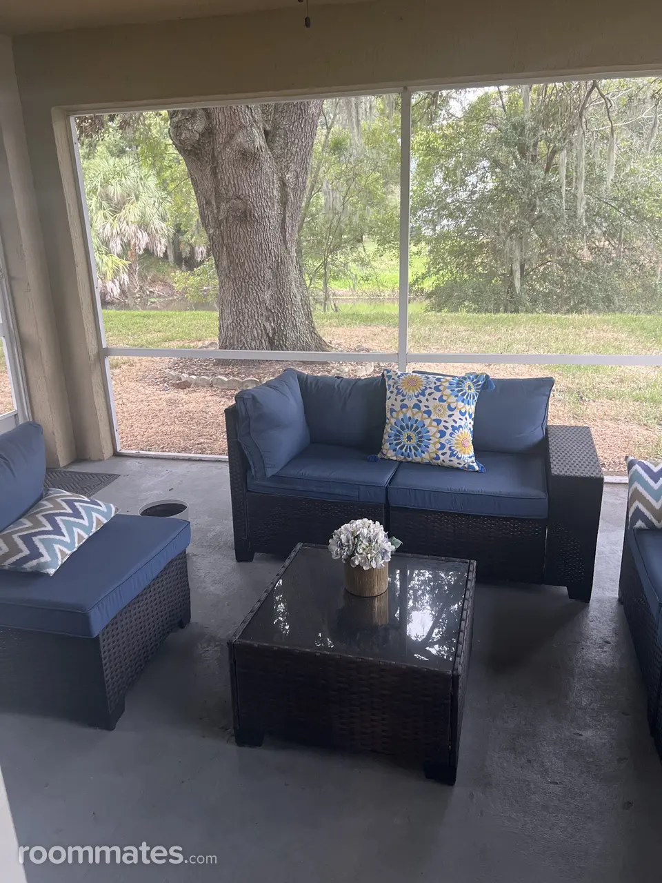 Profile photo 13 of 14