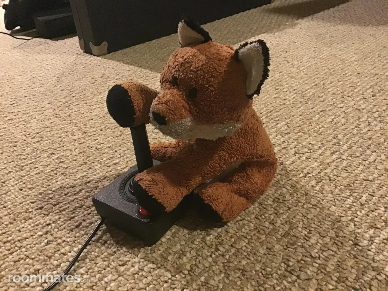 Profile photo 2 of 2