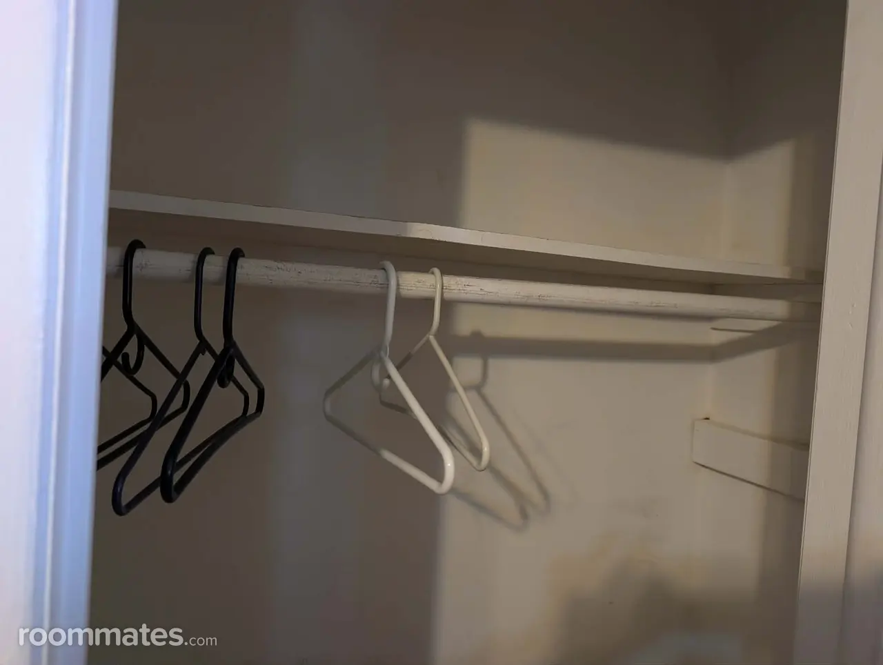 Profile photo 4 of 12