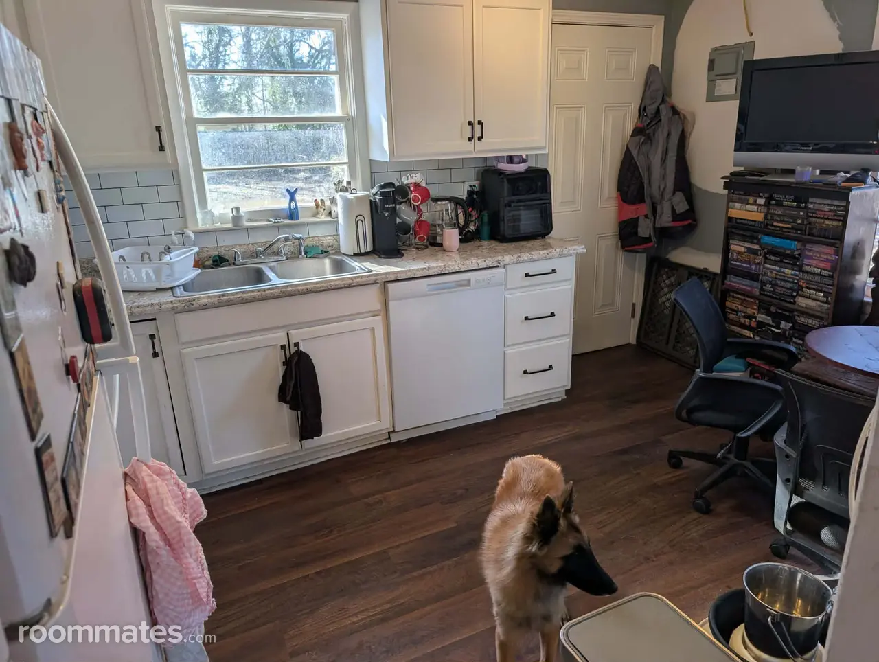 Profile photo 7 of 12