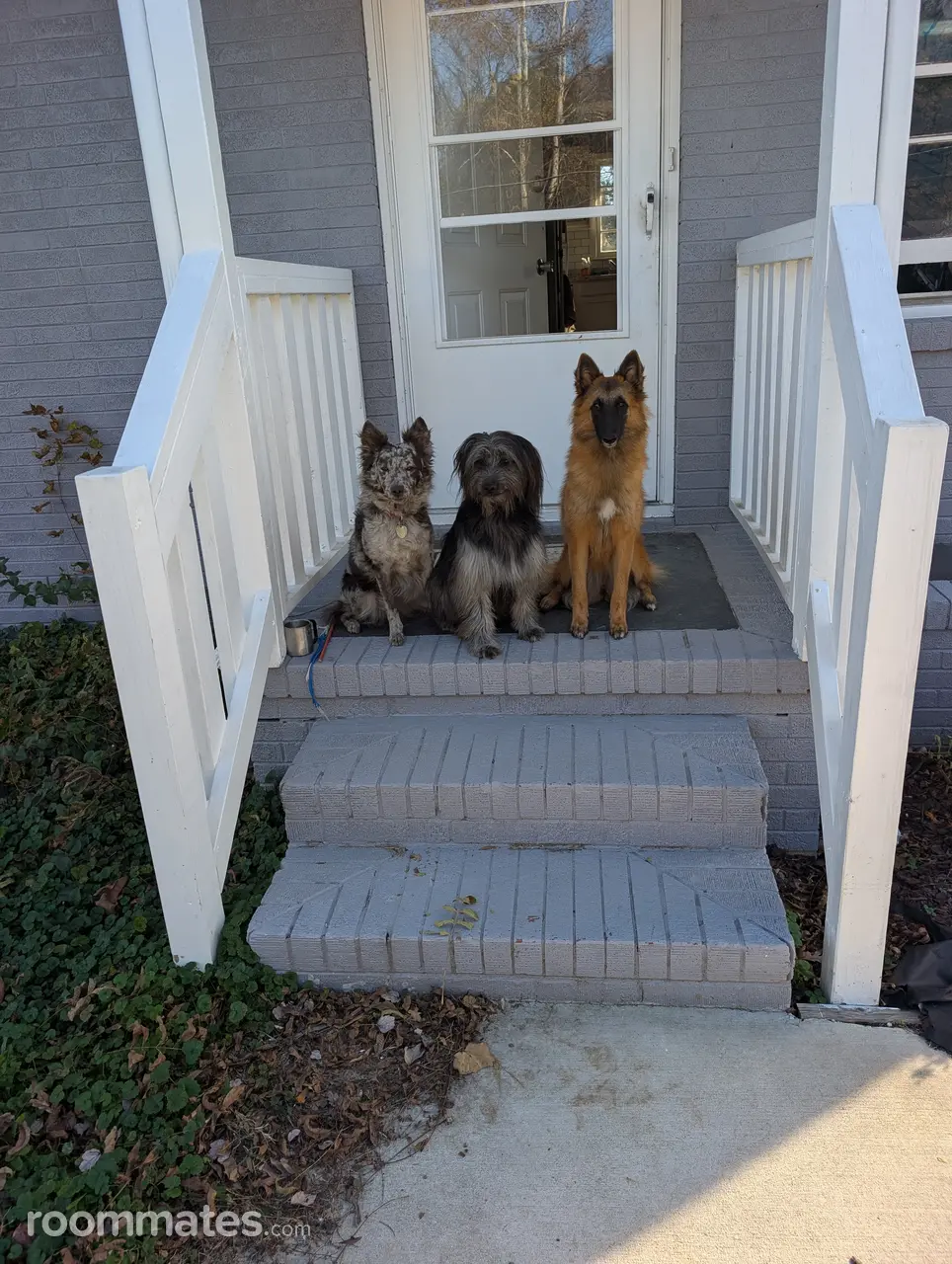 Profile photo 10 of 12